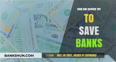 Hoover's Bank Rescue Efforts During the Great Depression Crisis