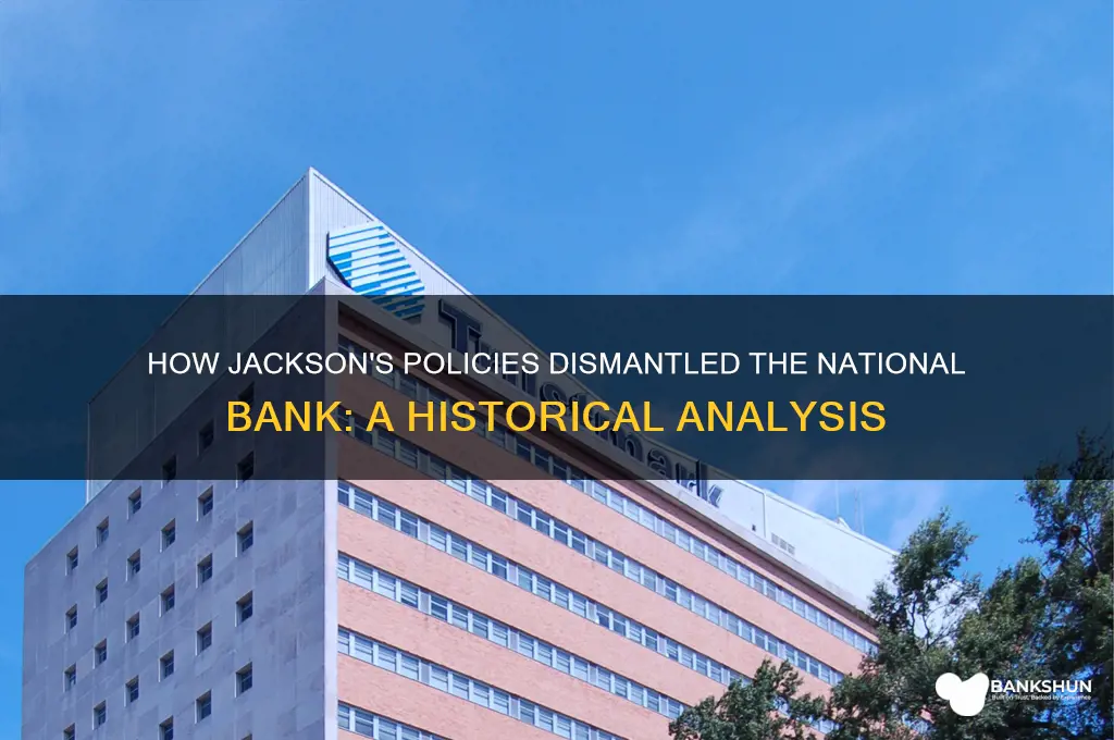 how did jackson kill the nationjal bank