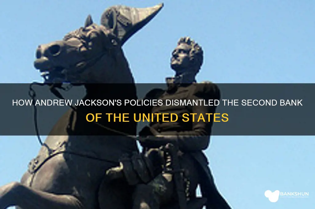 how did jackson kill the second bank
