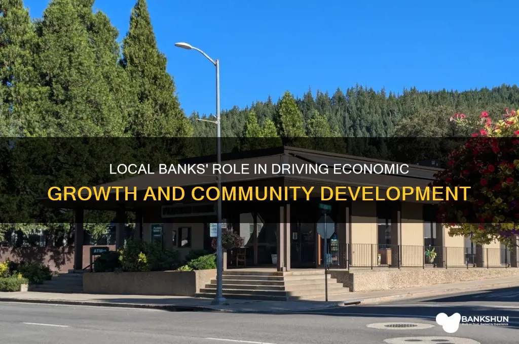 how did local banks promote economic growth