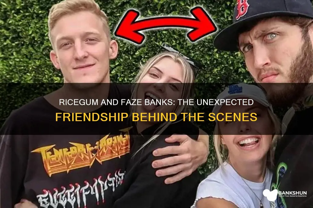 how did ricegum and faze banks meet
