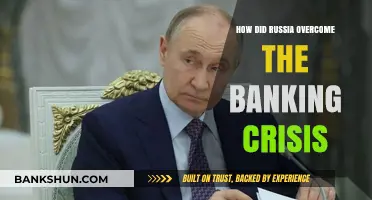 Russia's Resilience: Strategies to Overcome the Banking Crisis