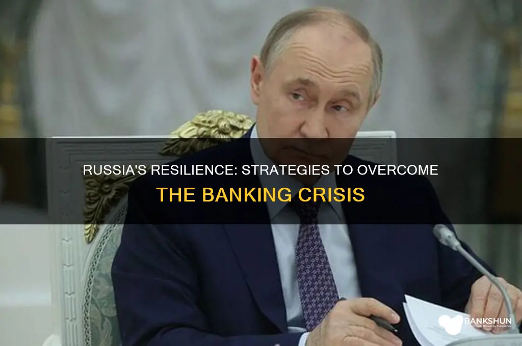 how did russia overcome the banking crisis