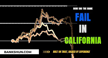 California Bank Collapse: Unraveling the Causes Behind the Financial Failure