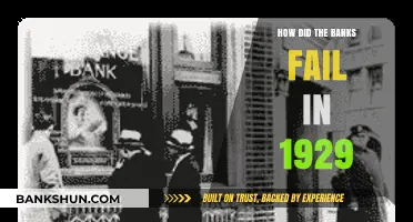The Great Crash: Unraveling the 1929 Banking Collapse Causes