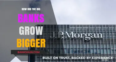 How Big Banks Expanded Their Dominance in the Financial Sector