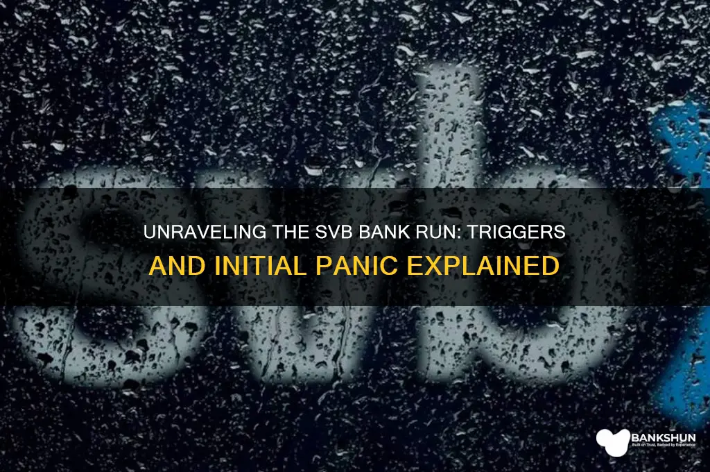 how did the svb bank run start