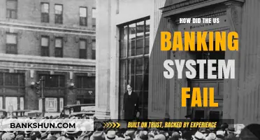 The Collapse of US Banks: Causes and Consequences of the Crisis
