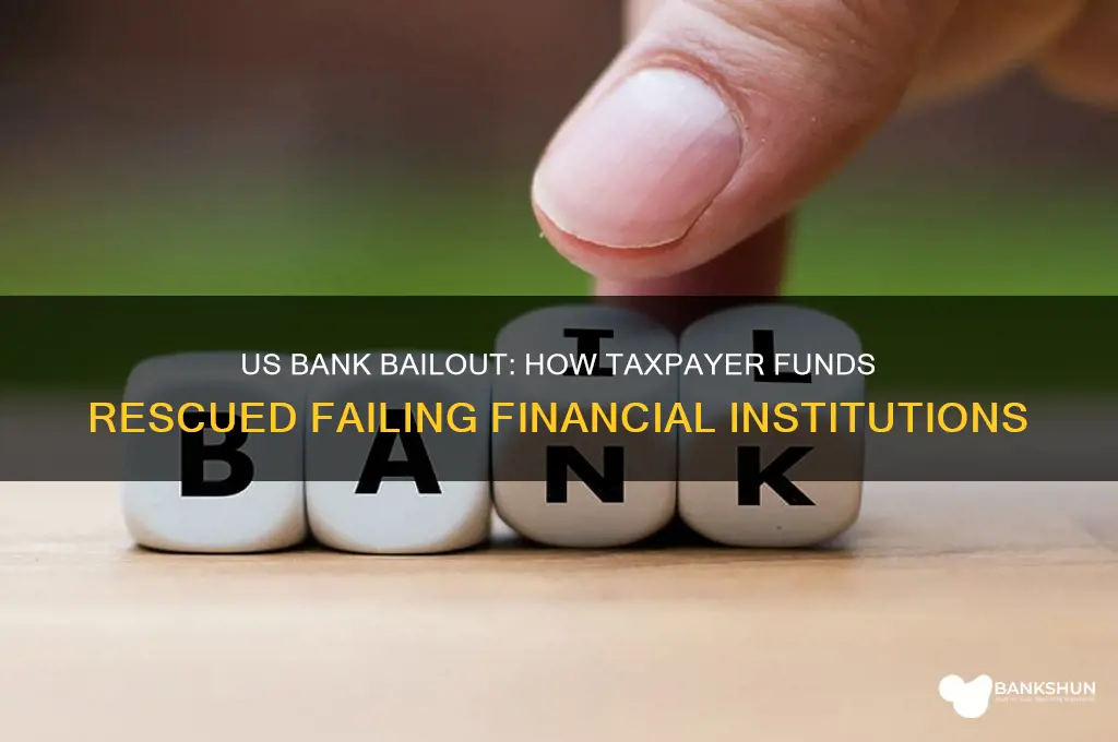 how did the us government bailout banks
