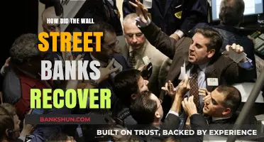 Wall Street Banks' Recovery: Strategies and Resilience Post-Crisis
