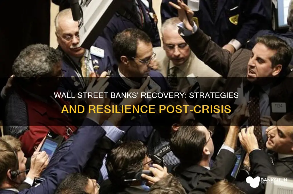 how did the wall street banks recover