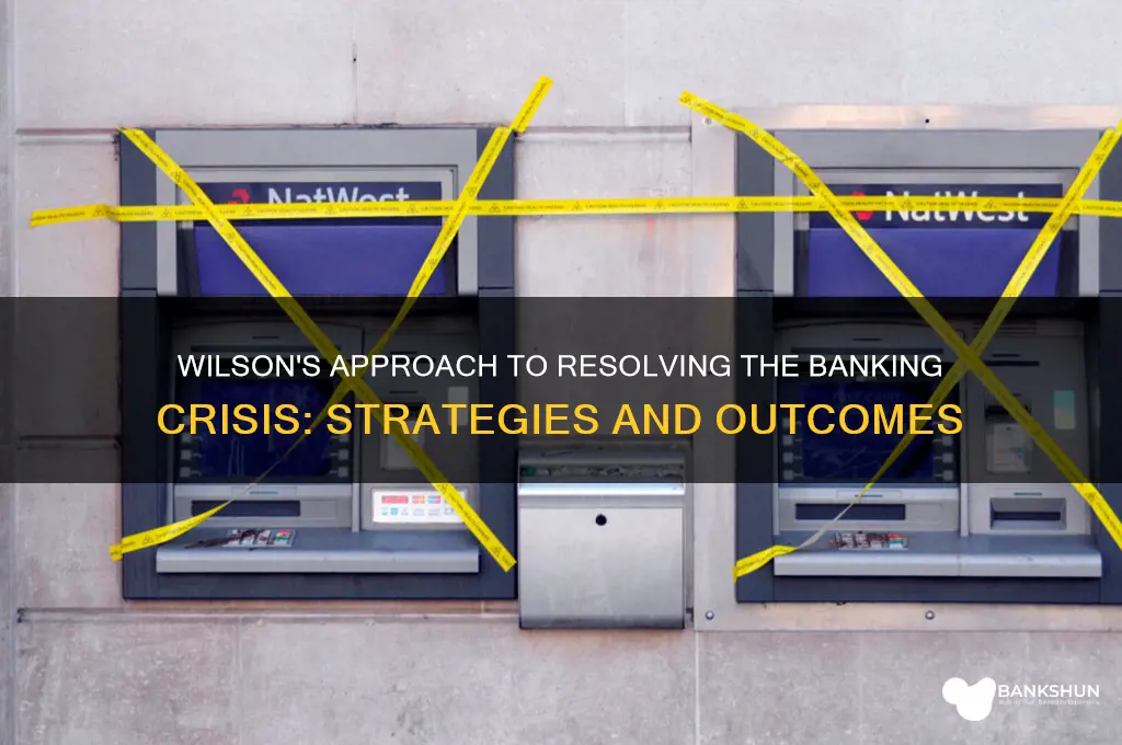 how did wilson handle the banking issues