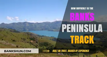 Challenging Yet Rewarding: Exploring the Banks Peninsula Track's Difficulty