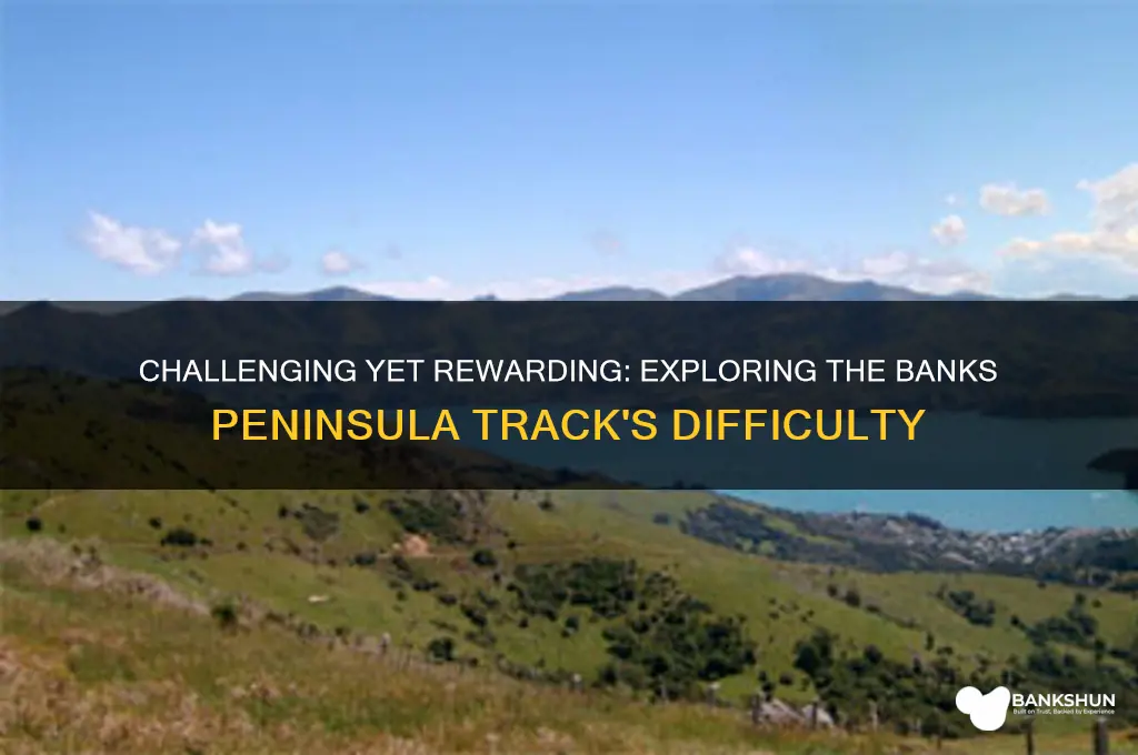 how difficult is the banks peninsula track