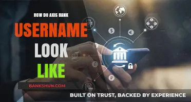 Understanding Axis Bank Username Format: A Comprehensive Guide for Customers