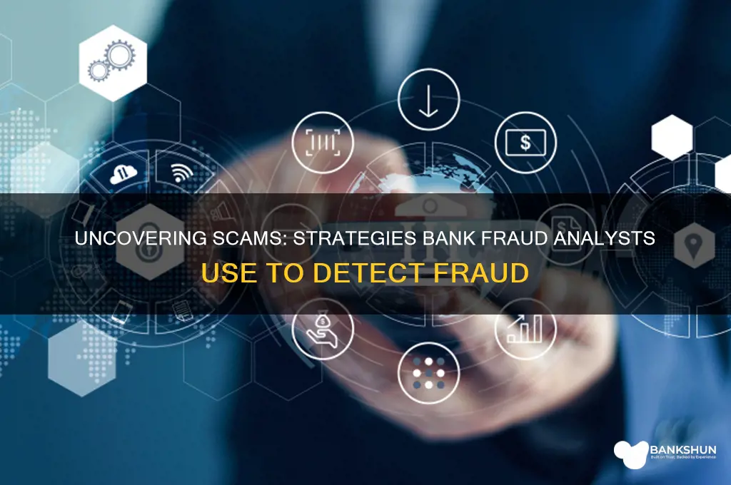 how do bank fraud analyst detect fraud
