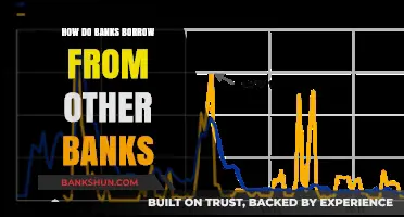 How Banks Borrow from Each Other: Interbank Lending Explained