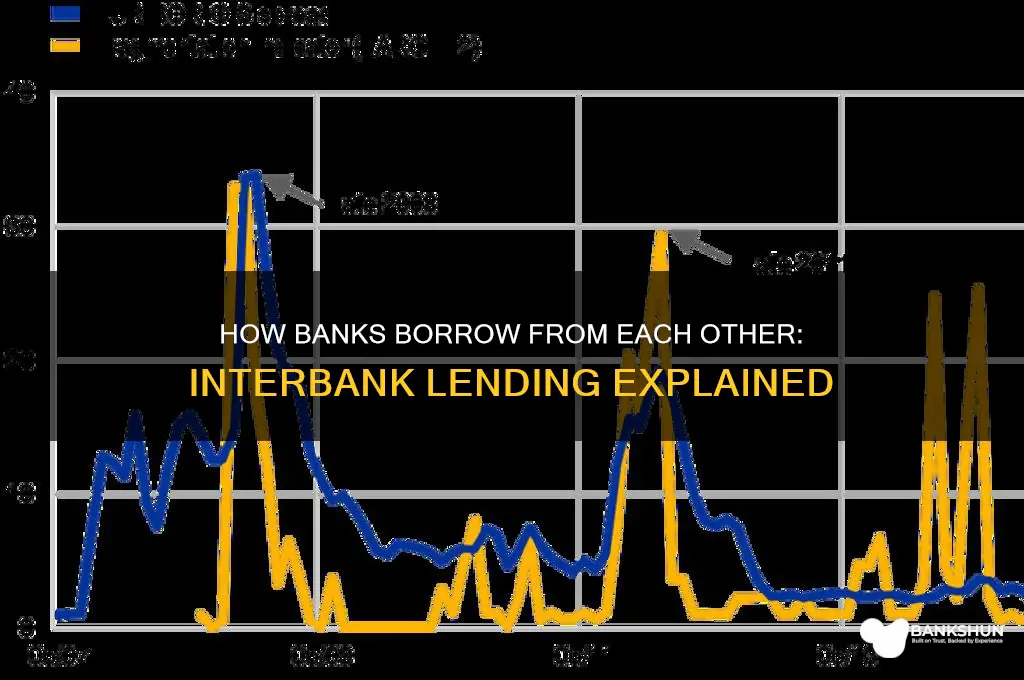 how do banks borrow from other banks