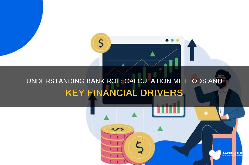 how do banks calculate return on equity