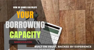 Understanding Your Borrowing Power: How Banks Assess Your Loan Capacity