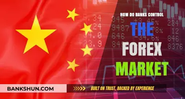 How Banks Influence and Control the Forex Market Dynamics
