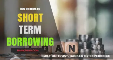 Understanding Short-Term Borrowing Strategies in Modern Banking Operations