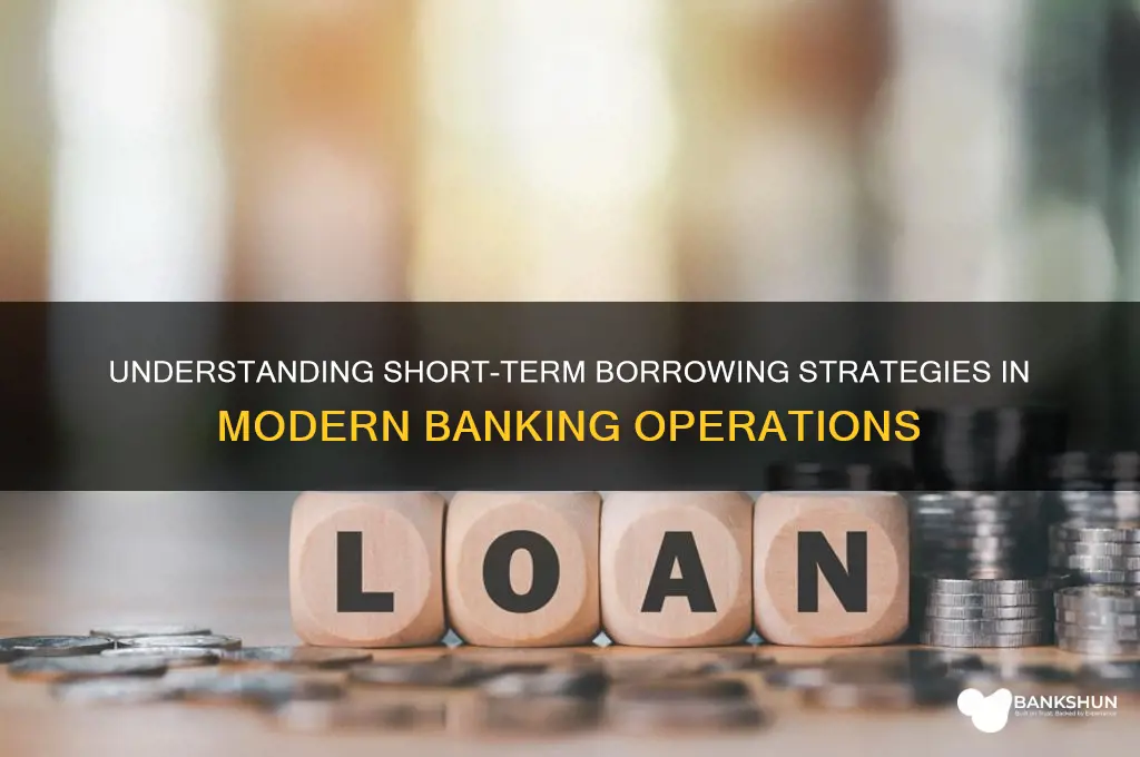 how do banks do short term borrowing