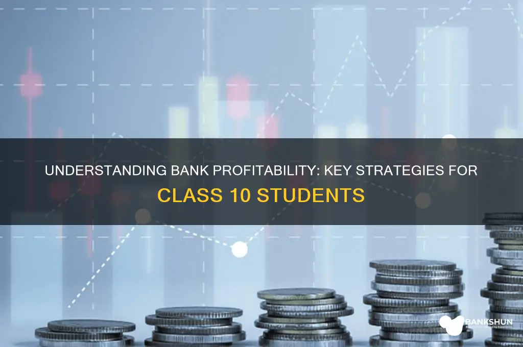 how do banks earn profit class 10