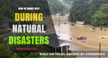 Banks' Role in Disaster Relief: Financial Support During Natural Calamities
