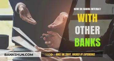 Bank-to-Bank Collaboration: Understanding Interbank Relationships and Transactions