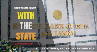 Bank-State Relations: Understanding the Complex Dynamics of Financial Governance