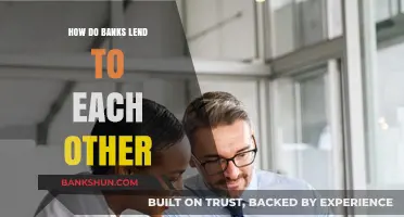 How Banks Lend to Each Other: Unveiling the Interbank Lending Process