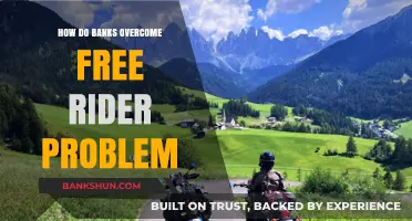 Solving the Free Rider Dilemma: Strategies Banks Use to Ensure Fair Contributions