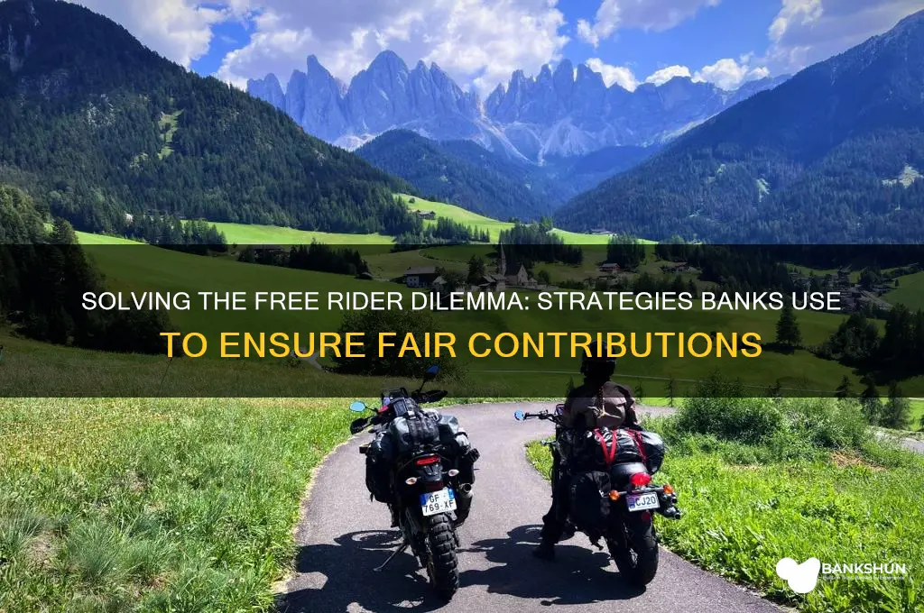 how do banks overcome free rider problem