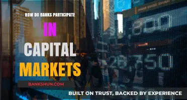 Banks' Role in Capital Markets: Strategies, Functions, and Impact