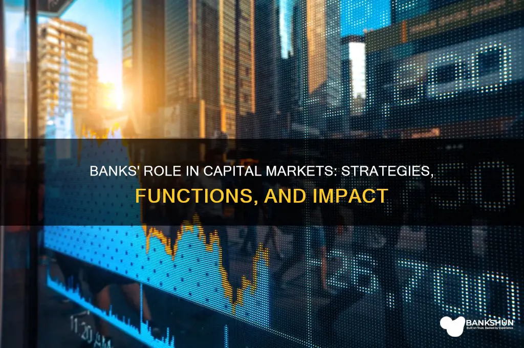 how do banks participate in capital markets