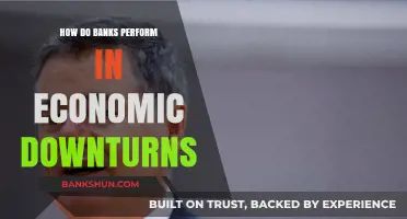 Bank Resilience in Economic Downturns: Performance, Strategies, and Challenges