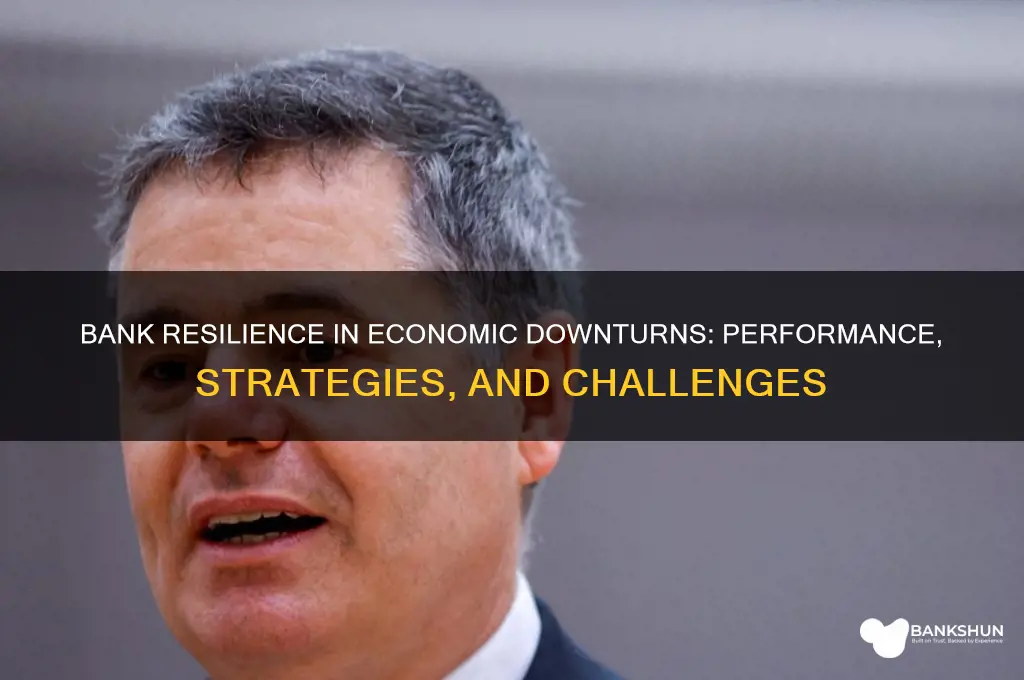 how do banks perform in economic downturns