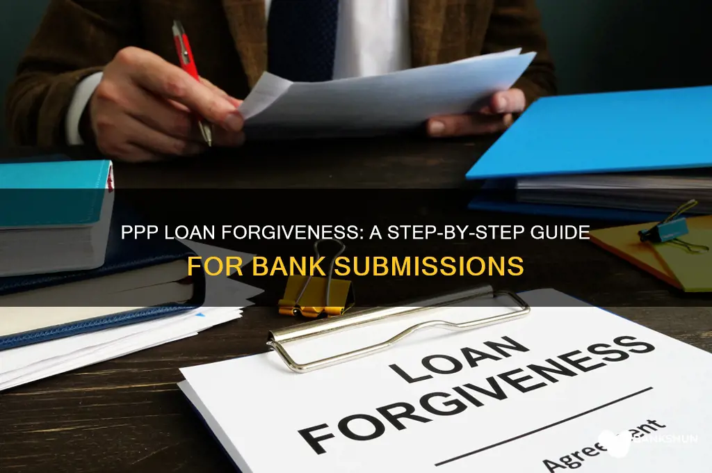 how do banks submit ppp forgiveness applications