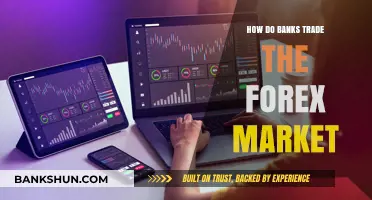 How Banks Dominate Forex Trading: Strategies and Market Insights