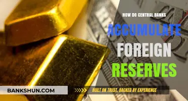 How Central Banks Build and Manage Foreign Currency Reserves
