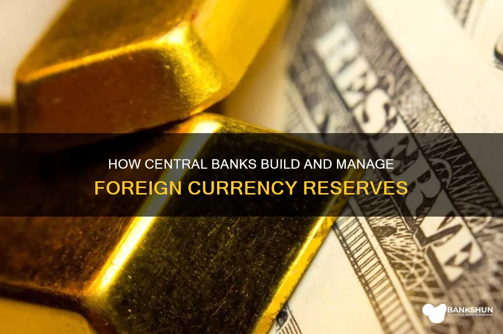 how do central banks accumulate foreign reserves