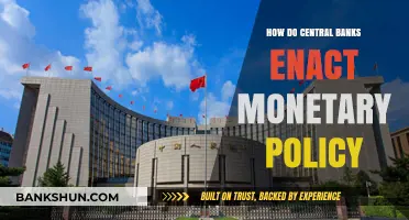 Understanding Central Banks: Tools and Strategies for Enacting Monetary Policy
