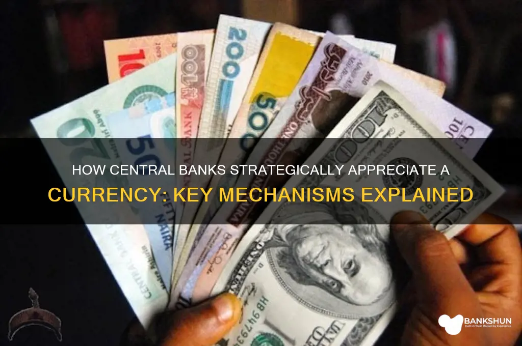 how do central banks epreciate a currency