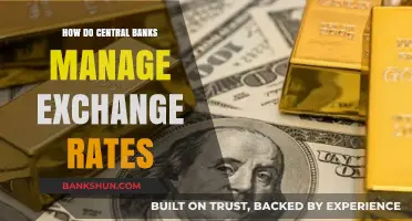 Central Banks' Strategies: Managing Exchange Rates for Economic Stability