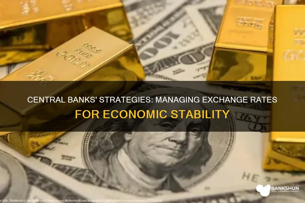 how do central banks manage exchange rates