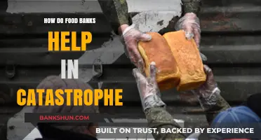 Food Banks: Lifelines of Hope in Times of Catastrophe