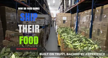 Efficient Food Bank Logistics: How Donations Reach Those in Need
