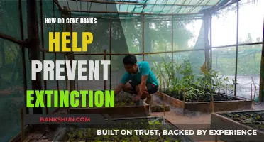 Gene Banks: Safeguarding Biodiversity and Preventing Species Extinction