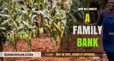 Building a Family Bank: Steps to Financial Unity and Legacy Planning